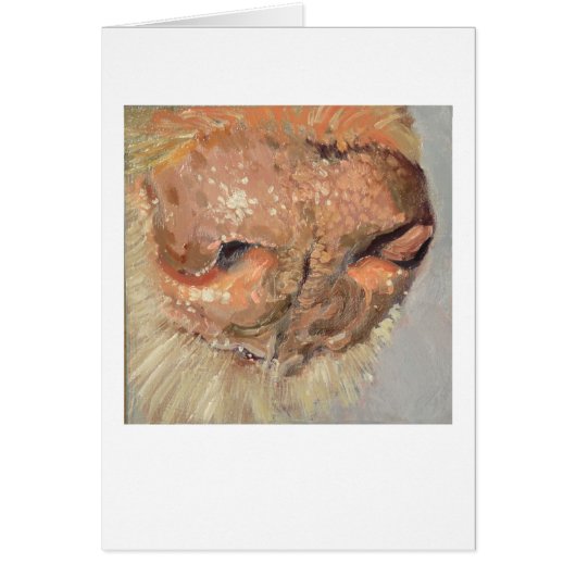 Lab Nose Cards (Front)