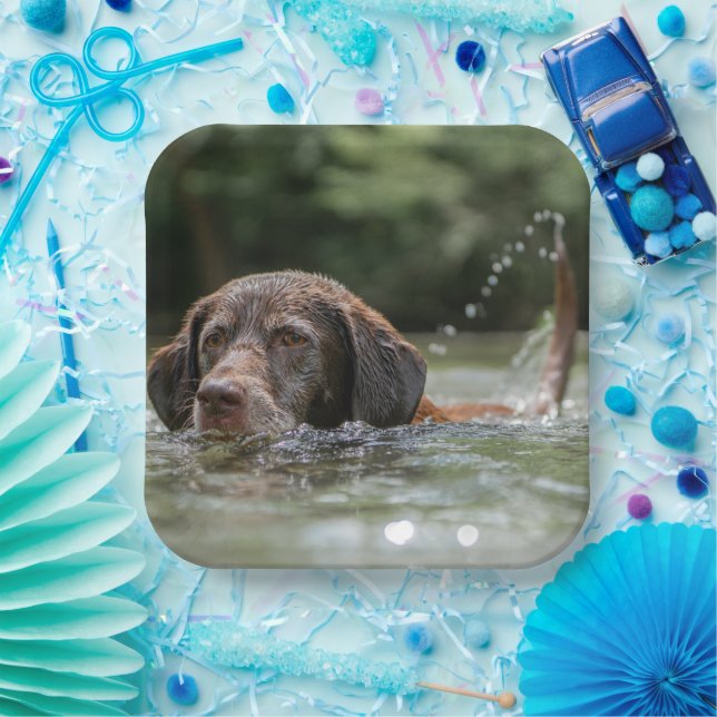 Lab Paper Plates (Party)