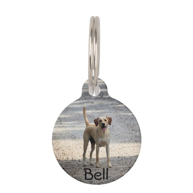 Lab Pet ID Tag (Front)