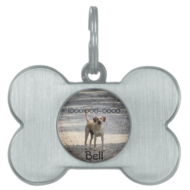 Lab Pet ID Tag (Front)