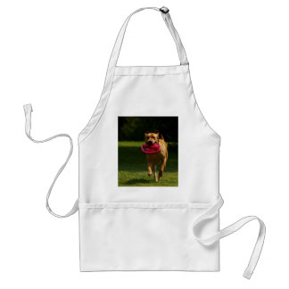 Lab Playing Frisbee Adult Apron