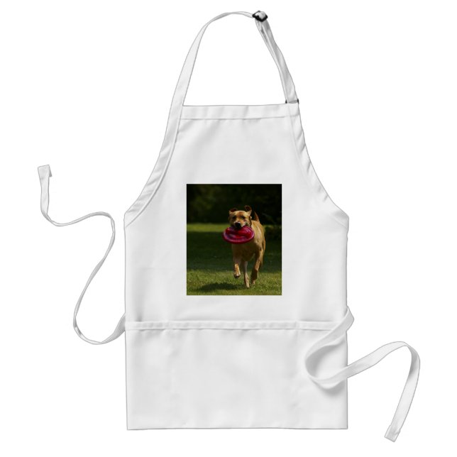 Lab Playing Frisbee Adult Apron (Front)