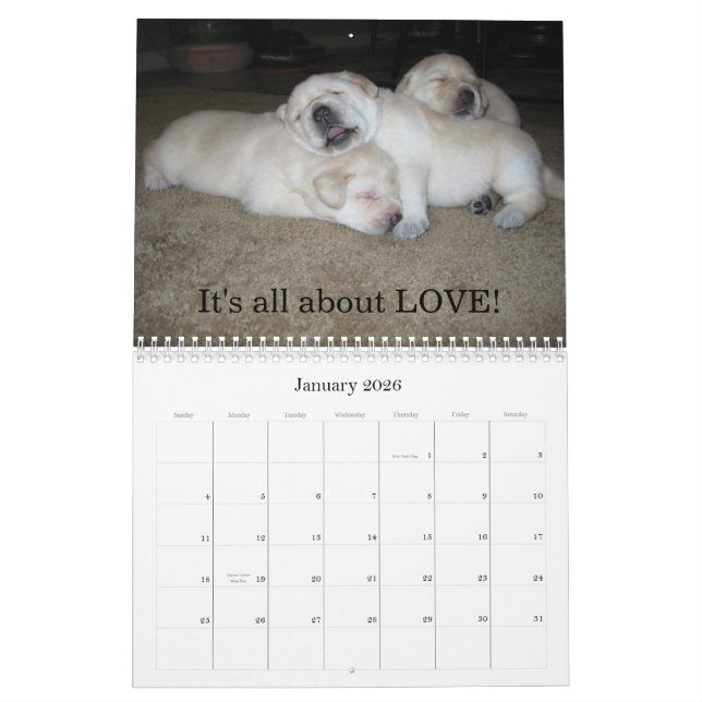 Lab Puppies! Calendar (Jan 2026)