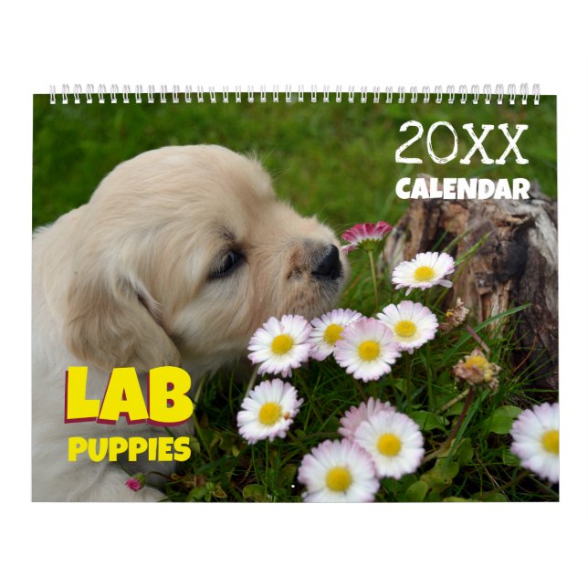 Lab Puppies Labrador Retriever Cute 2026 Calendar  (Cover)