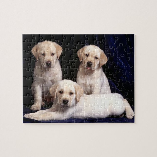 Lab Puppies Puzzle (Horizontal)