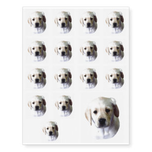 Lab Puppy Face Temporary Tattoos