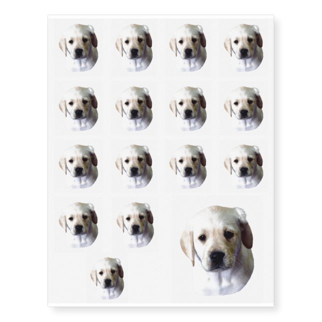 Lab Puppy Face Temporary Tattoos (Front)