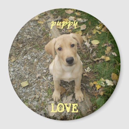 Lab Puppy Love Magnet