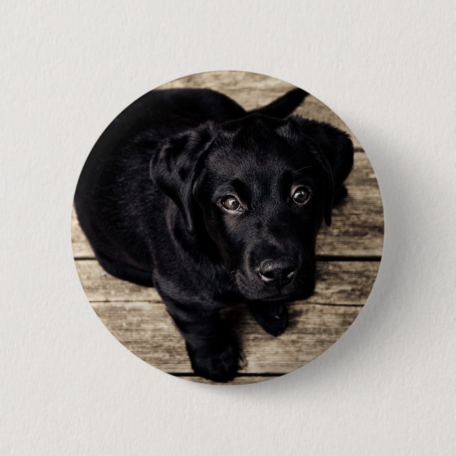 lab puppy pinback button (Front)