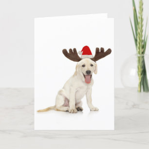 Lab Puppy Wearing Antlers Holiday Card