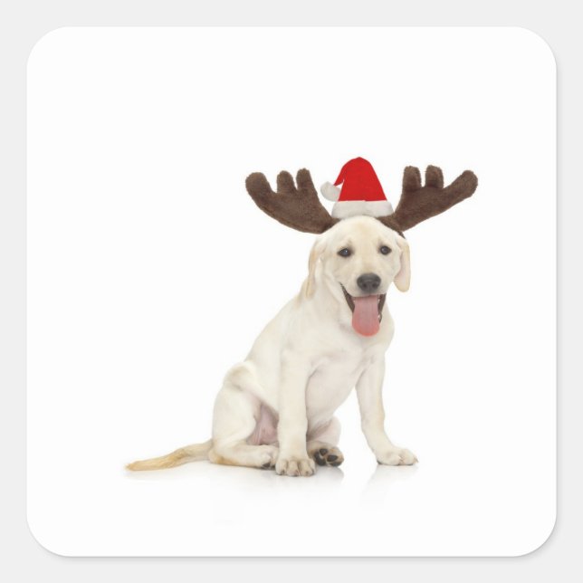 Lab Puppy Wearing Antlers Square Sticker (Front)