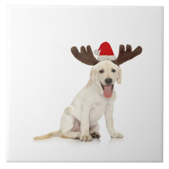 Lab Puppy Wearing Antlers Tile (Front)