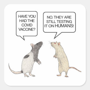Lab Rat Covid Vaccine Funny Button Square Sticker
