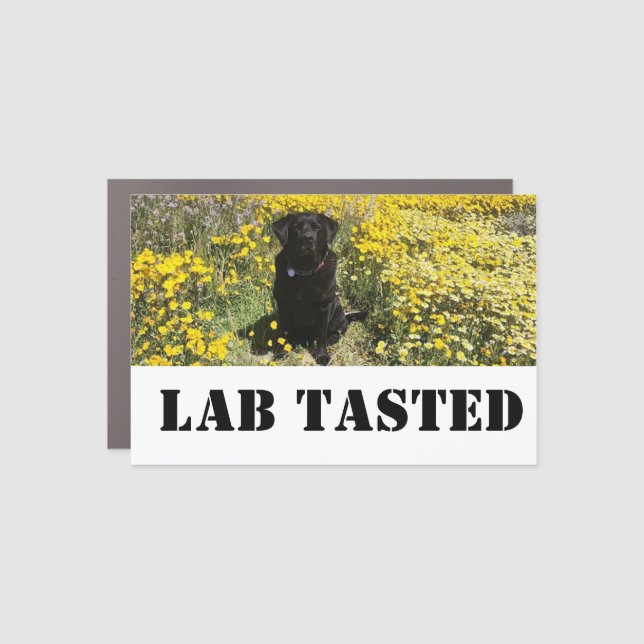 "Lab Tasted: Car Magnet (Front)