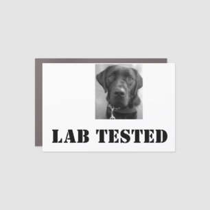 Lab Tested Car Magnet