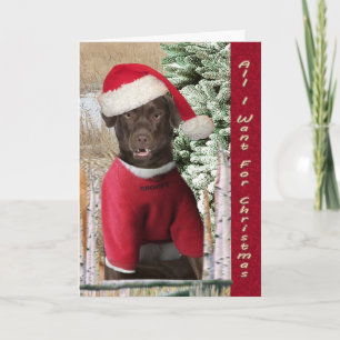 Lab Wants Two Front Teeth Holiday Card