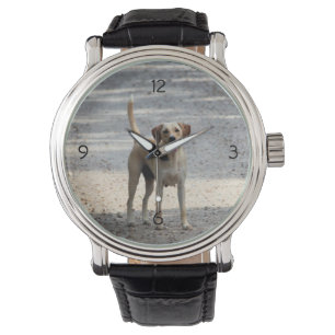 Lab Watch
