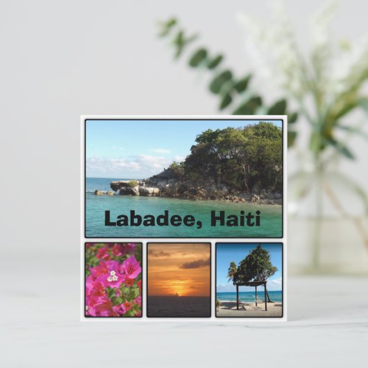 Labadee, Haiti   (Standing Front)