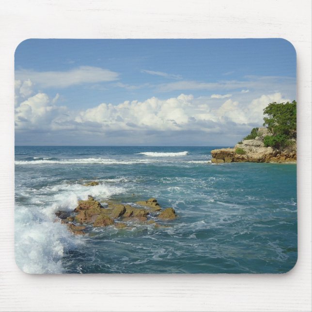 Labadie Seascape Mouse Pad (Front)