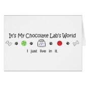 LabChoco (Front Horizontal)