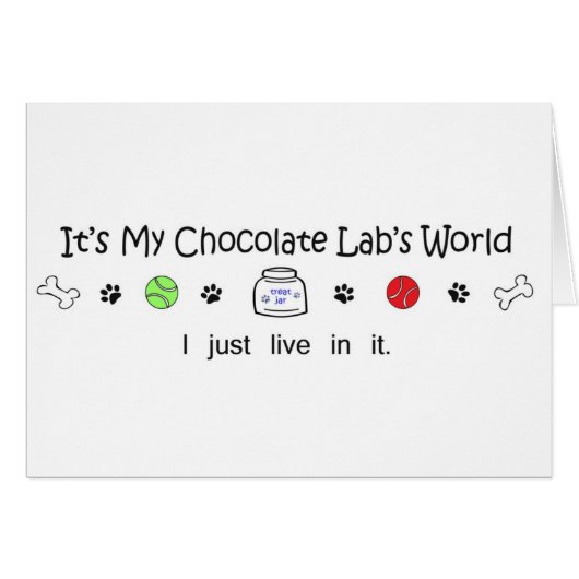 LabChoco Cards (Front Horizontal)