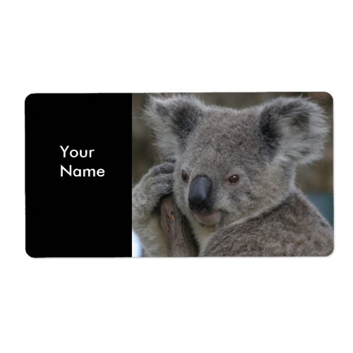 Label Address Stickers Koala Bears