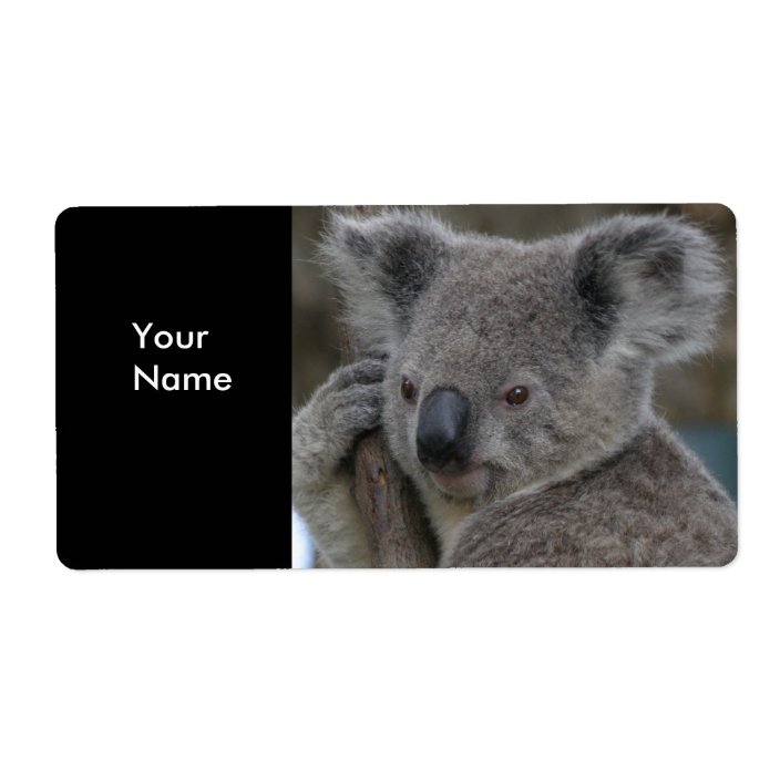 Label Address Stickers Koala Bears