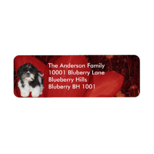 Label Return Address Shih Tzu & Flowers