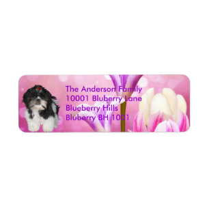 Label Return Address Shih Tzu & Flowers