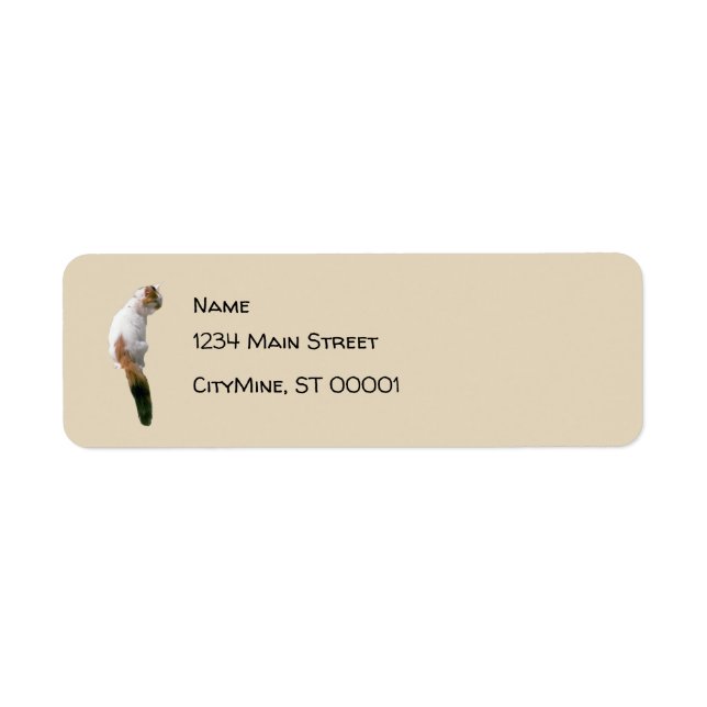 Label - Return - Maine Coon Cat (Front)