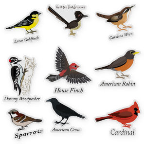 Labeled Backyard Birds Sticker Set