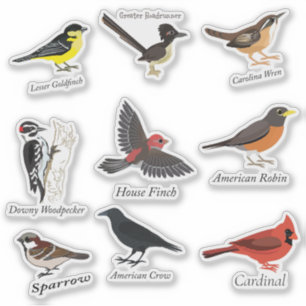 Labeled Backyard Birds Sticker Set