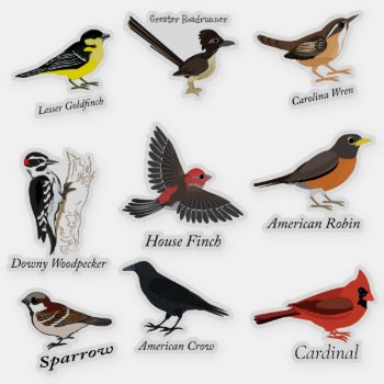 Labeled Backyard Birds Sticker Set by Egg_Tooth at Zazzle