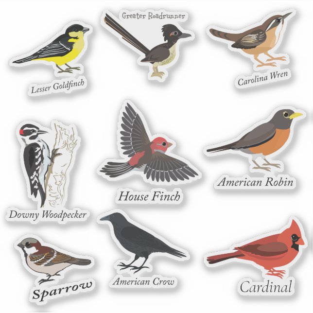 Labeled Backyard Birds Sticker Set (Front)