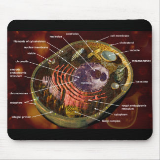Labeled human cell mouse pad