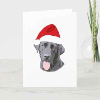 Labholiday Holiday Card by foxygrlz at Zazzle