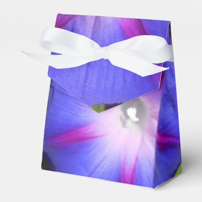 Labille-Guiard Favor Boxes (Front Side)