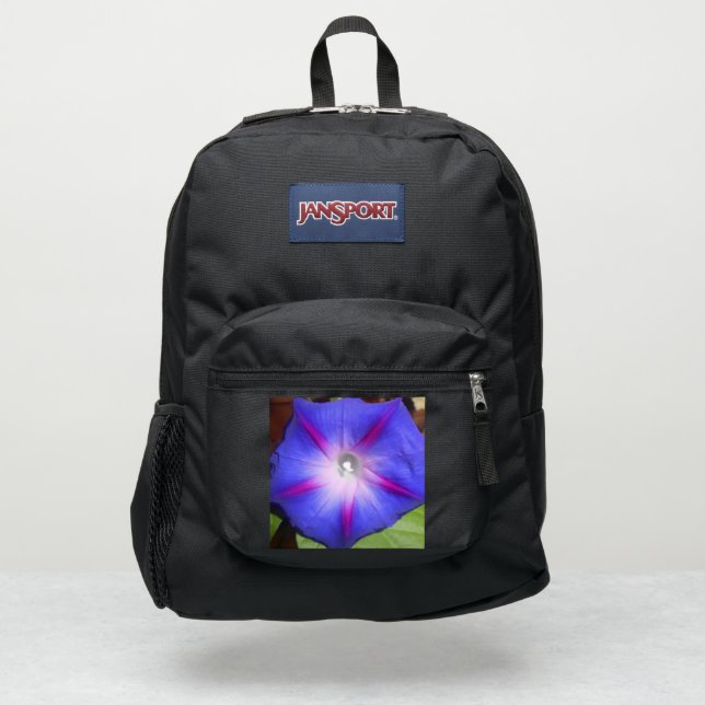 Labille-Guiard JanSport Backpack (Front)