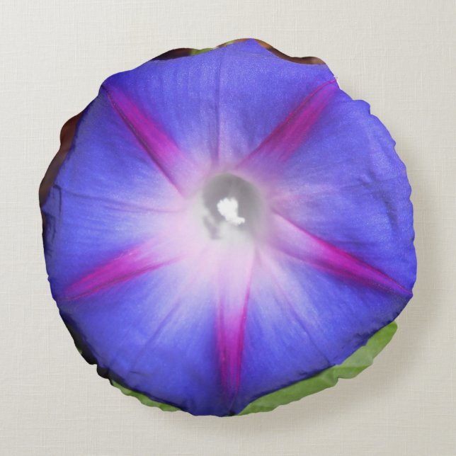 Labille-Guiard Round Pillow (Back)