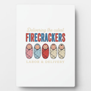 Labor & Delivery Firecrackers Cute Baby Nurse Desi Plaque