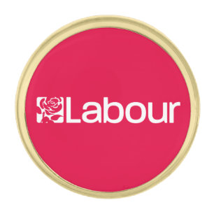 Labour Party UK Gold Finish Lapel Pin