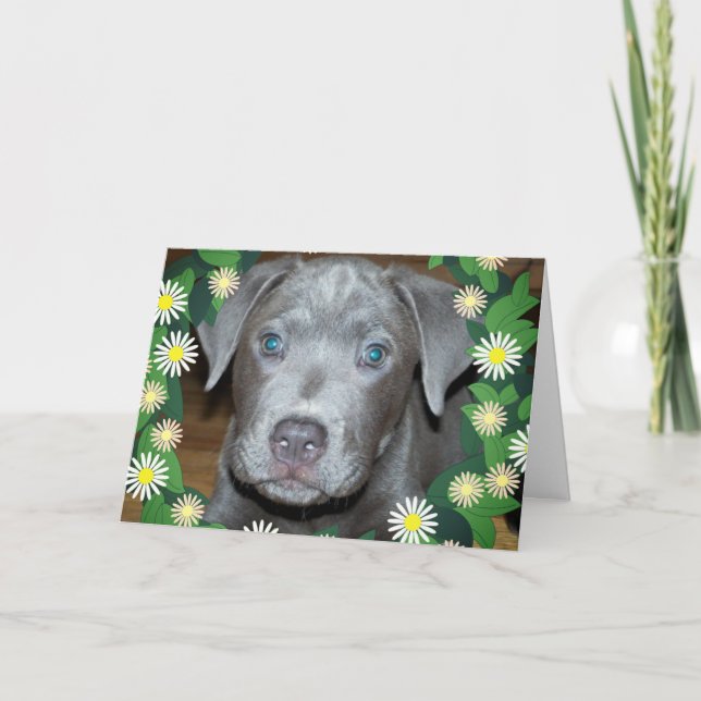 Labrabull Puppy with Flowers / Pet Dog Photo Card (Front)