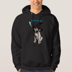 Labracadabrador! Hoodie