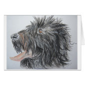 Labradoodle (Front Horizontal)