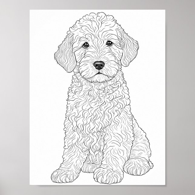 Labradoodle Adult Coloring Poster (Front)