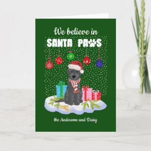 Labradoodle  Believe Santa Paws Christmas        Holiday Card