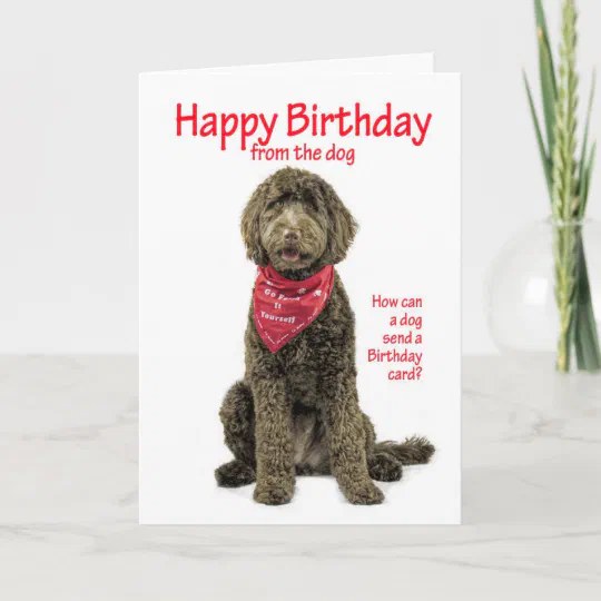 Labradoodle light coloured greetings card 