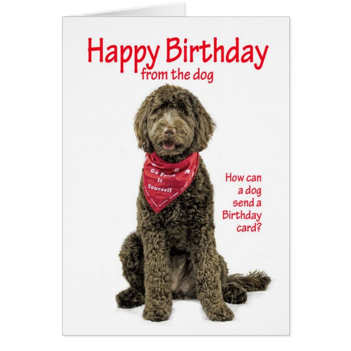 Labradoodle Birthday Card Zazzle