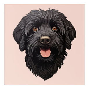 Labradoodle Black Dog Acrylic Print