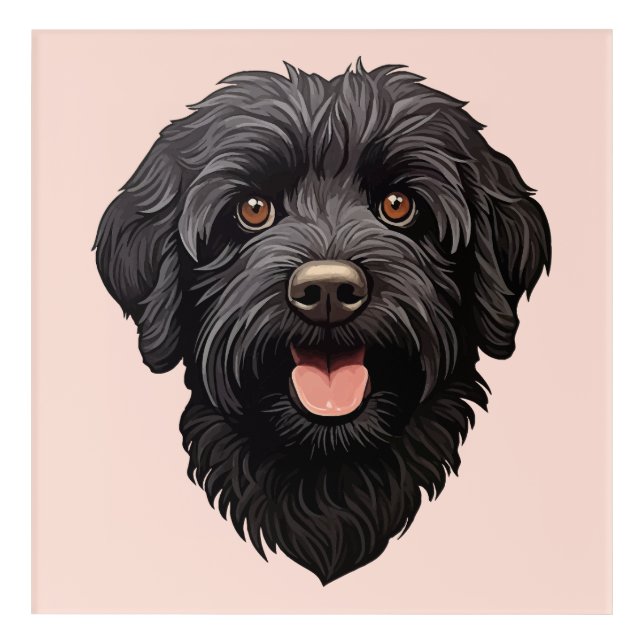 Labradoodle Black Dog Acrylic Print (Front)